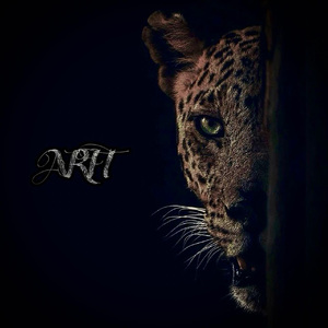 妺妺用🐻夹我的🍌视频
